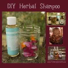 DIY-Herbal-Shampoo-Recipe-1024x1024.jpg